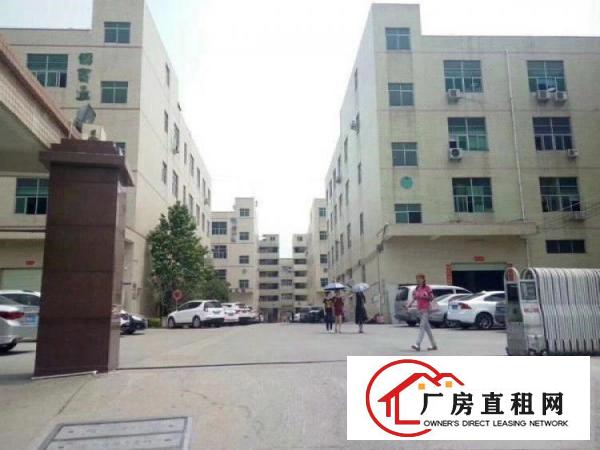 
塘厦新出楼上原房东350平厂房租，周边环境好易招工