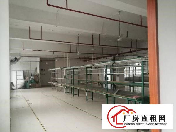
塘厦新出800平精装修花园式厂房，原房东无公摊！
