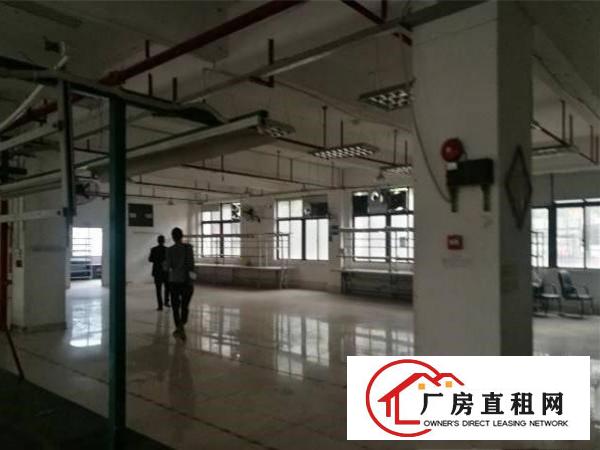 
塘厦新出800平精装修花园式厂房，原房东无公摊！