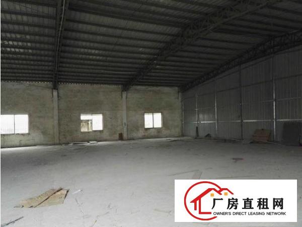 
塘厦振兴围1000平米钢构房只租6000/月！