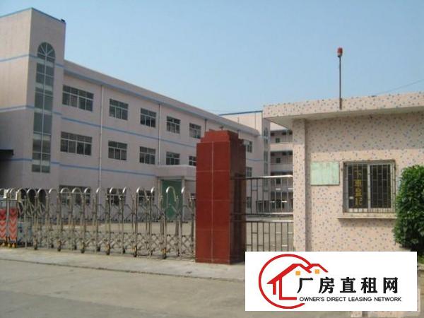 
塘厦凤凰岗800平带精装修办公室无公摊租10元