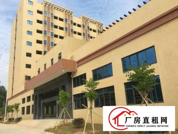 
塘厦林村超豪华全新大型独院可整租可分成小独院