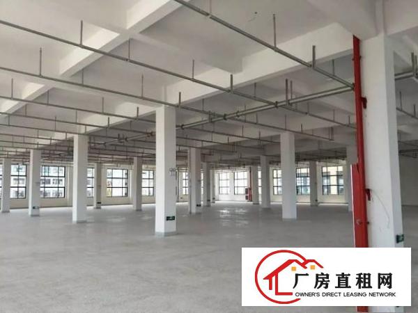 
塘厦林村超豪华全新大型独院可整租可分成小独院