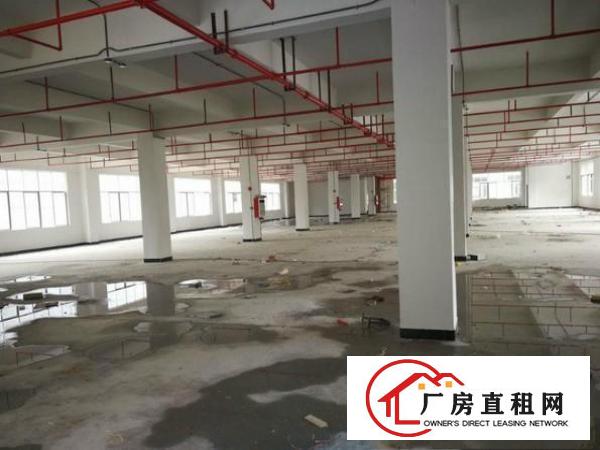 
塘厦林村超豪华全新大型独院可整租可分成小独院