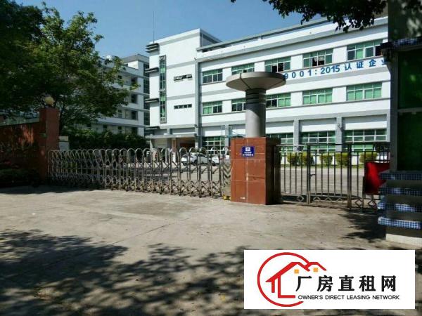 
塘厦科苑城新出标准一楼450平米带装修厂房出租