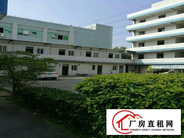 
科苑城大坪高速出口处独院厂房招租