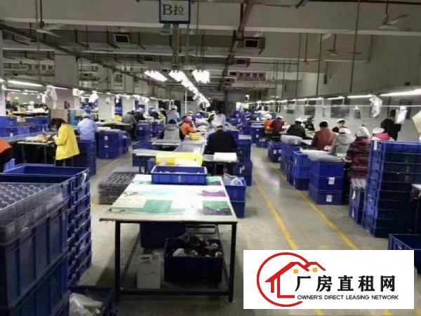 
塘厦镇花园标准厂房一楼二楼各2900平方招租