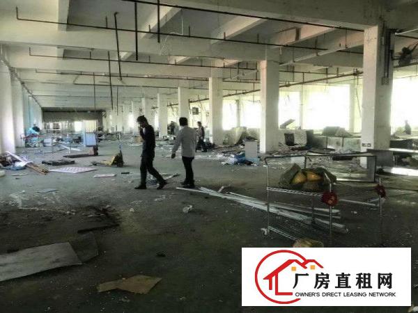 
塘厦高速路口花园式厂房三层13500平方出租