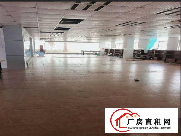 
塘厦高速大坪独院1100平方！地坂砖天花吊顶精装修