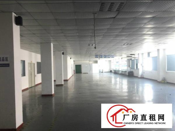 
塘厦高速口独院楼上分750平方带豪华装修办公室吊顶