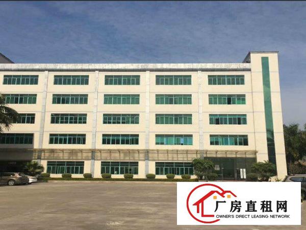 
塘厦高速口独院楼上分750平方带豪华装修办公室吊顶