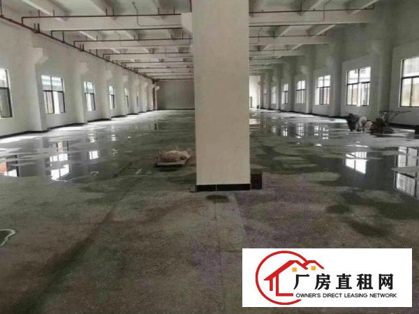 
塘厦高速口原房东全新2250平方/层5层带消防电梯