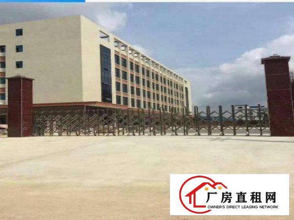
塘厦高速口原房东全新2250平方/层5层带消防电梯