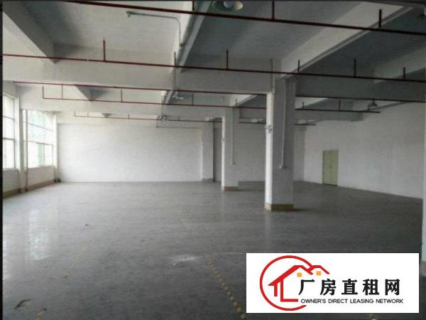 
塘厦高速口标准3200平带消防喷淋,精装修办公室