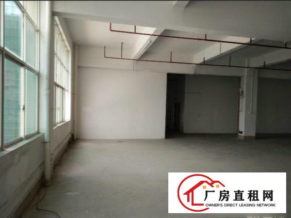 
塘厦高速口标准3200平带消防喷淋,精装修办公室