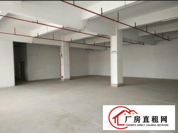 
塘厦高速口标准3200平带消防喷淋,精装修办公室