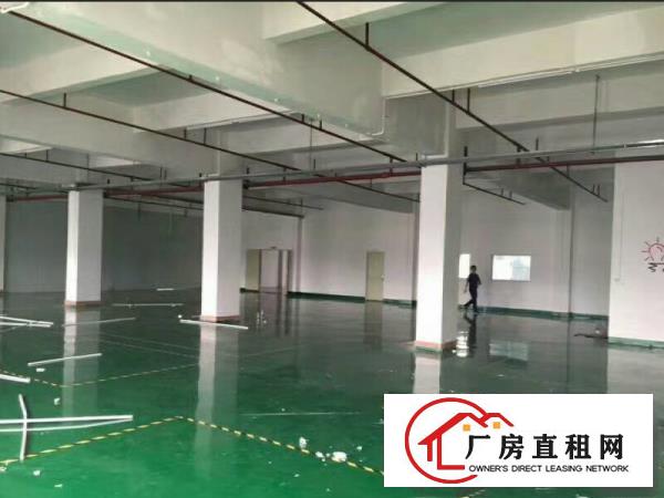
塘厦高速口标准楼上1000平米带豪华装.消防喷淋！
