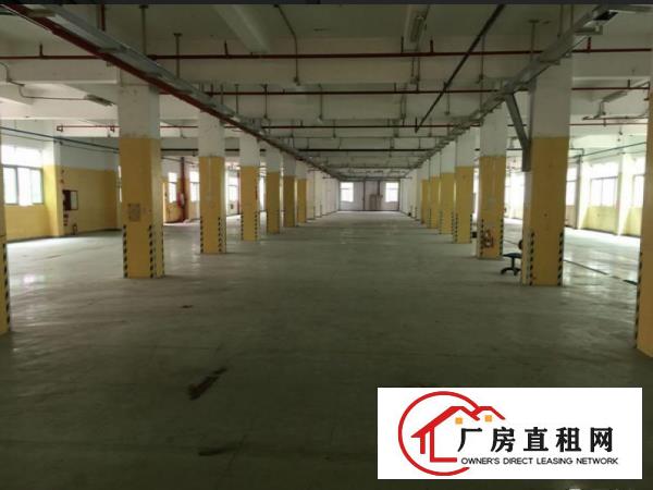 
塘厦原房东独门独院2800平厂房带消防喷淋无公摊