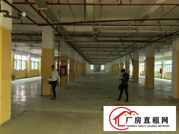 
塘厦原房东独门独院2800平厂房带消防喷淋无公摊