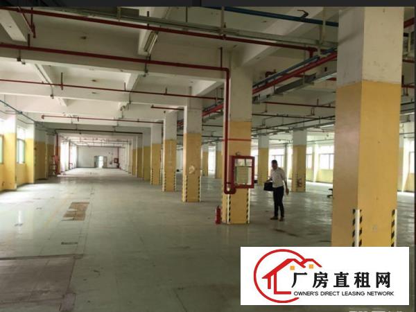 
塘厦原房东独门独院2800平厂房带消防喷淋无公摊