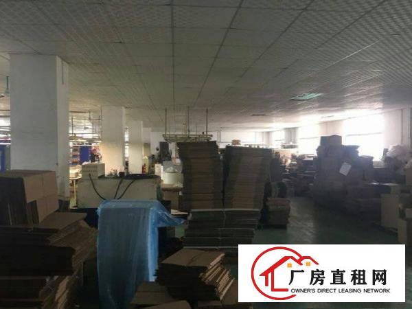 
深圳周边独院厂房出租