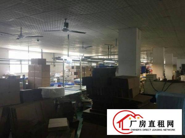 
深圳周边独院厂房出租