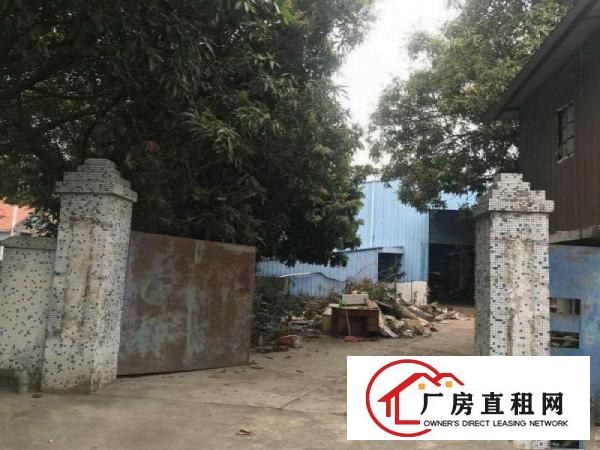 
（滴水7米）塘厦东深线2000平方米单一层厂房招租