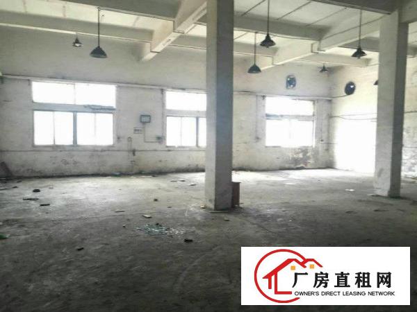 
塘厦临深区出租900平方米带装修一楼厂房或仓库