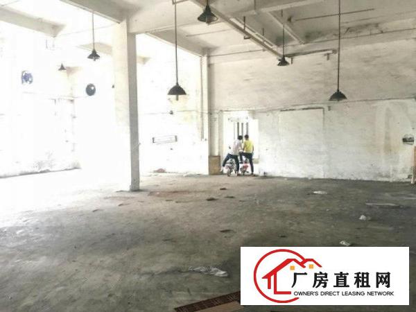 
塘厦临深区出租900平方米带装修一楼厂房或仓库