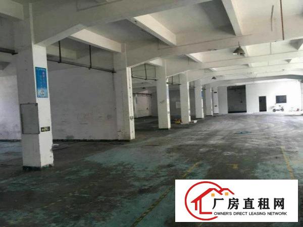 
距深圳超近，精装修2000平方米，楼上厂房招租