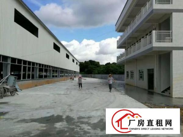 
塘厦横塘2200平米全新独院高10米电力足靠山