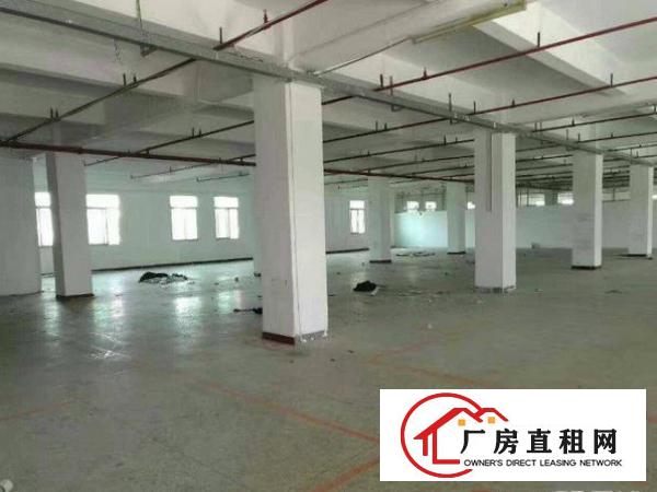 
塘厦莲湖原房东独院超靓厂房招租无公摊实量面积