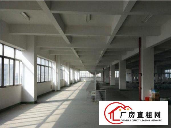 
塘厦莲湖原房东独院超靓厂房招租无公摊实量面积