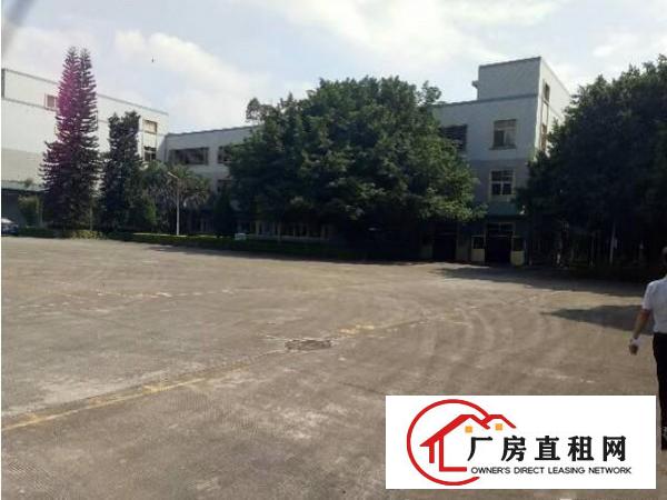 
塘厦莲湖原房东独院超靓厂房招租无公摊实量面积