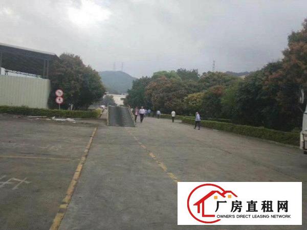
塘厦靠凤岗4万平米单一层10米高1万平空地免费