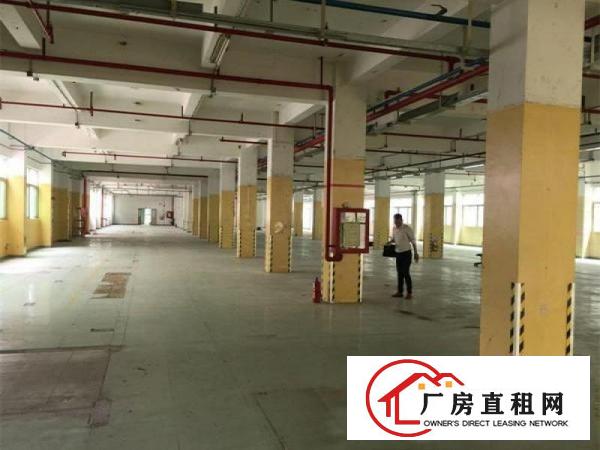
塘厦独门独院楼上2800平厂房出租，原房东无公摊