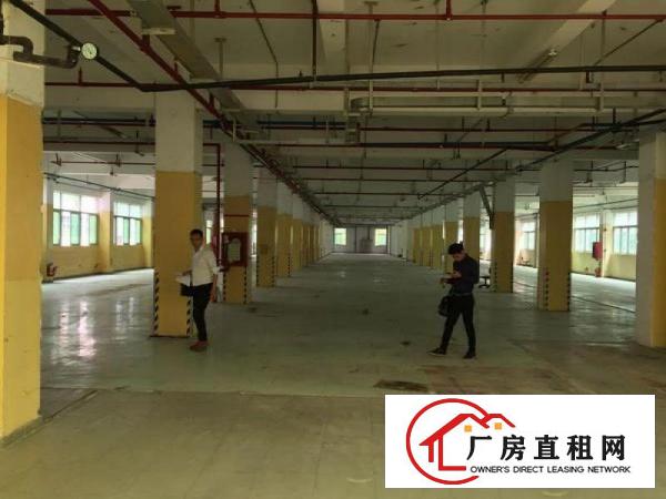 
塘厦独门独院楼上2800平厂房出租，原房东无公摊