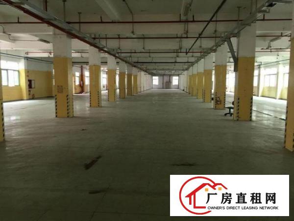 
塘厦独门独院楼上2800平厂房出租，原房东无公摊