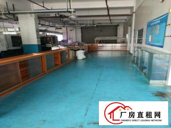 
塘厦新出原房东1200平厂房出租，形象好带现装修