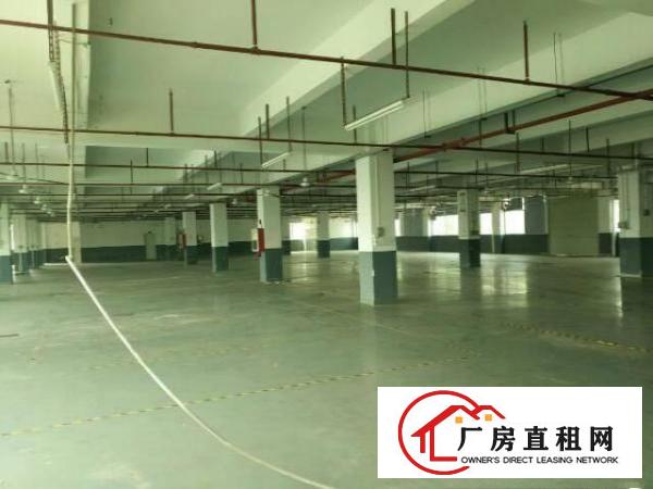 
塘厦高速路口附近新出楼上整层6100平厂房出租