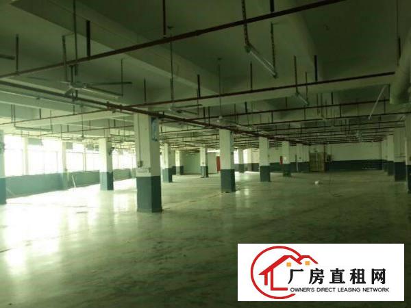 
塘厦高速路口附近新出楼上整层6100平厂房出租