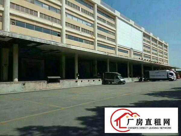 
塘厦5万平米原房东厂房仓库0公摊白菜价