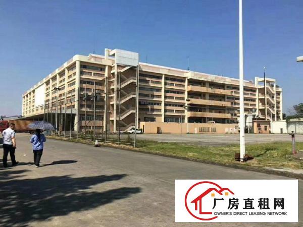 
塘厦5万平米原房东厂房仓库0公摊白菜价