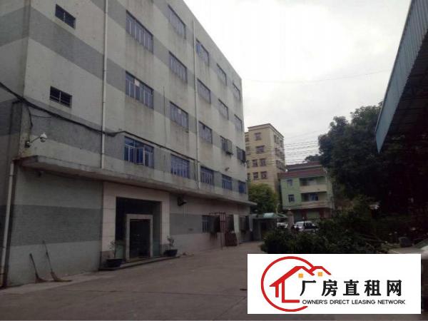 
塘下田心新出一楼厂房1100平米出租