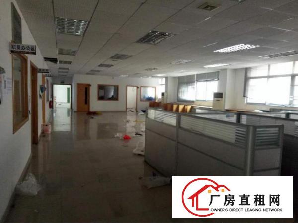 
塘厦新盘离大坪高速三分钟独院出租