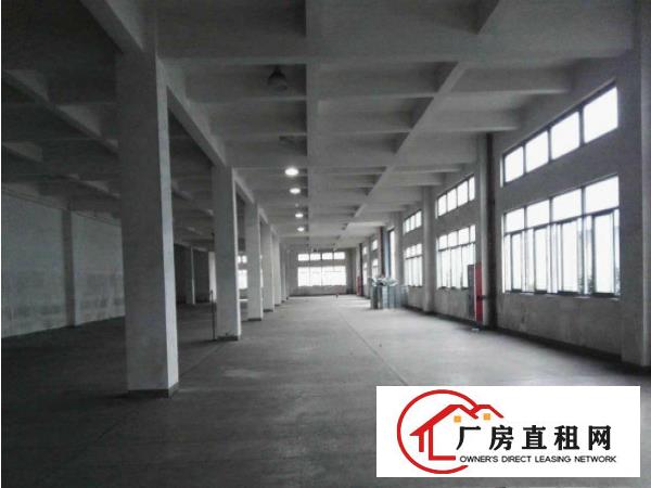 
塘厦石鼓三层厂房每层600平带电梯出租可分租