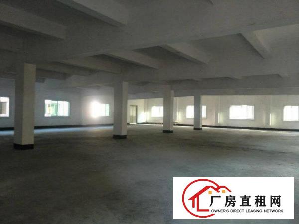
塘厦大坪空出3500平方小独院2吨电梯精装办公室