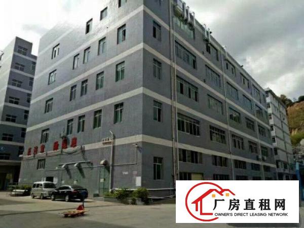 
塘厦平山空出二楼1360平带有地平漆精装修办公室