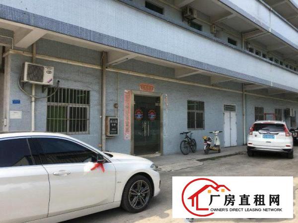 
塘厦蛟乙塘刚空出一楼厂房300平方贸易加精装办公