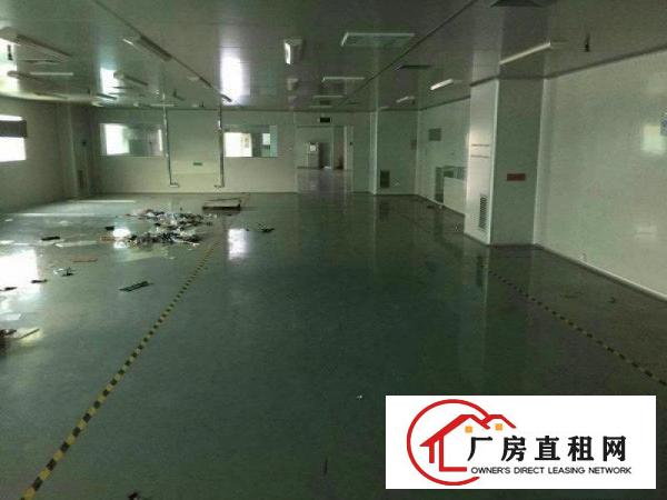 
塘厦莆心湖工业园二楼厂房2700平带地平漆可分租